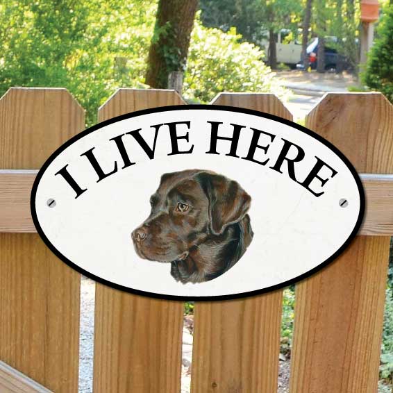 JAF Graphics. Chocolate Brown Labrador Dog I Live Here Sign