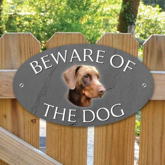 Picture of Brown Dobermann Beware of The Dog Sign