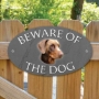 Picture of Brown Dobermann Beware of The Dog Sign