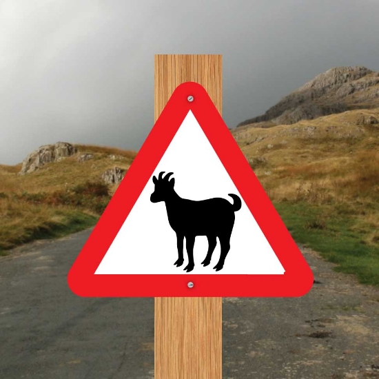 Picture of Goats in road Triangle Warning Sign 