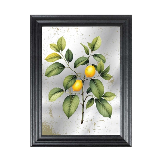 Picture of Vintage lemon mirror picture in black frame