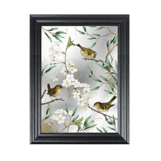 Picture of Vintage bird mirror in black frame