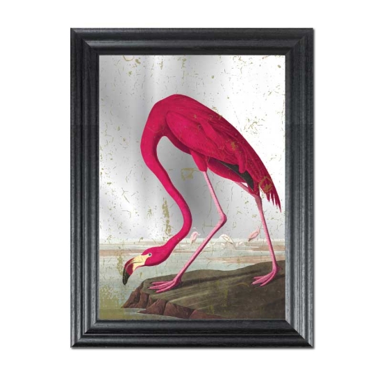Picture of Vintage flamingo mirror picture in black frame John James Audubon