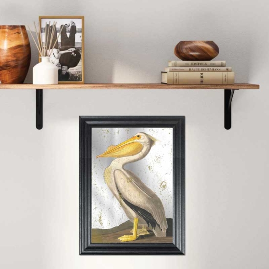 Picture of Vintage pelican mirror picture in black frame John James Audubon - copy
