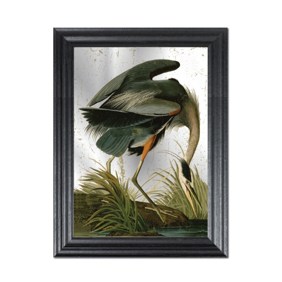 Picture of Vintage heron mirror picture in black frame John James Audubon