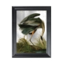Picture of Vintage heron mirror picture in black frame John James Audubon