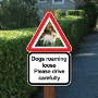 Picture of Personalised triangle road sign with text