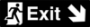 Picture of Brushed Gold or Silver Exit Signs