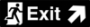 Picture of Brushed Gold or Silver Exit Signs