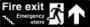 Picture of Brushed Gold or Silver Fire Exit stairs sign