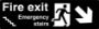Picture of Glow In The Dark Brushed Metal Fire Exit Stairs direction sign