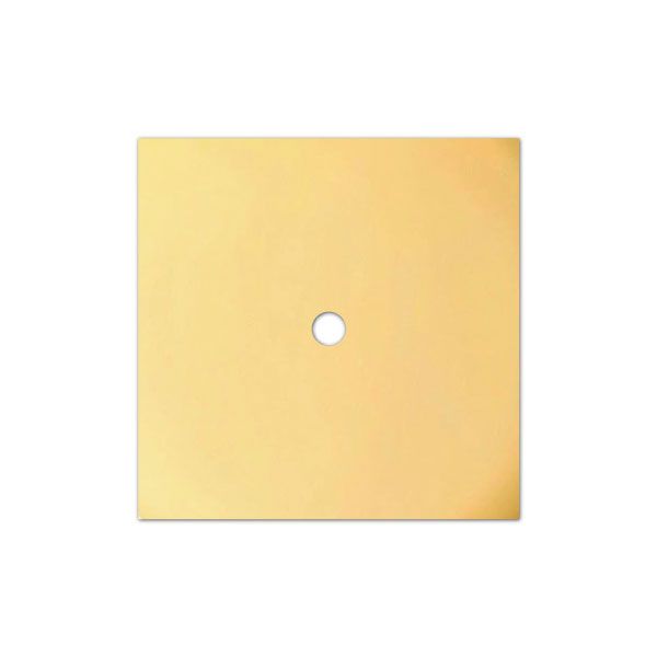 Picture of Square Brass Backplate 