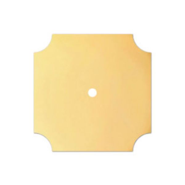 Picture of Scalloped Corner Square Brass Backplate 